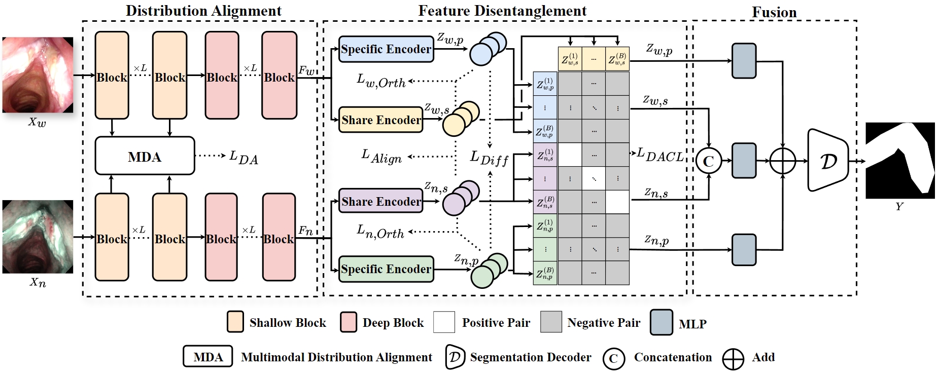Progressive disentangle-aware contrastive learning framework
