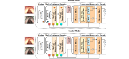 Semi-MedSAM student and teacher model framework